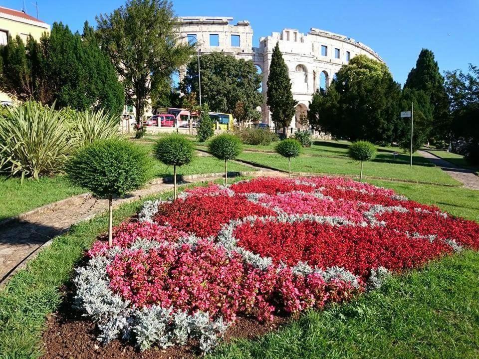 Apartmani Karoca 3 بولا المظهر الخارجي الصورة